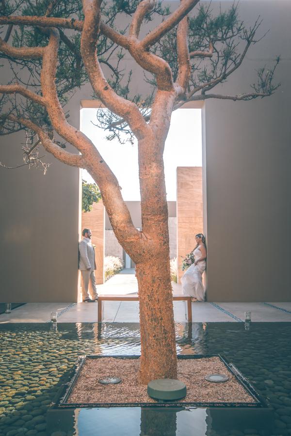 JW Marriott Cabo Wedding: The Ultimate Destination for Your Dream Ceremony